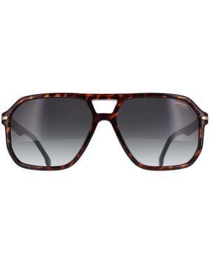 Carrera Aviator Havana Gradient 302/S - Black