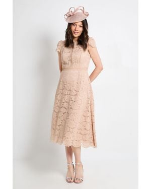 Wallis Lace Fit And Flare Midi Dress - Natural