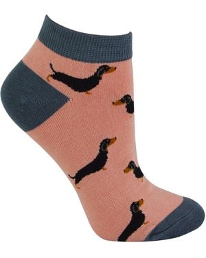 Miss Sparrow Ladies Bamboo Trainer Socks - Blue