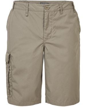 Craghoppers Expert Kiwi Long Length Cargo Shorts (Pebble) - Grey