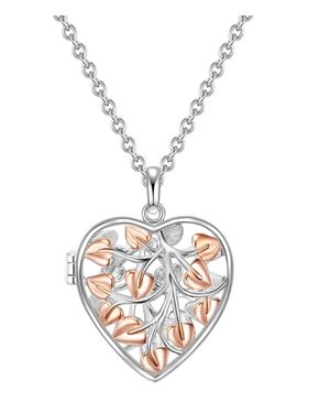 Rafaela Donata Necklace With Pendant Sterling Bicolour - Metallic