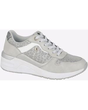 Cipriata Novelia Trainer - Grey