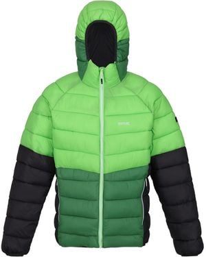 Regatta Harrock Ii Baffled Padded Jacket (Jasmine/Field) - Green
