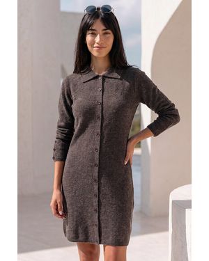 Roman Petite Collared Knit Shift Dress - Brown