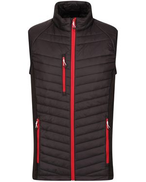 Regatta Navigate Quilted Hybrid Gilet /Classic) - Red