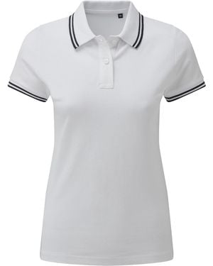 Asquith & Fox Ladies Classic Fit Tipped Polo - Grey