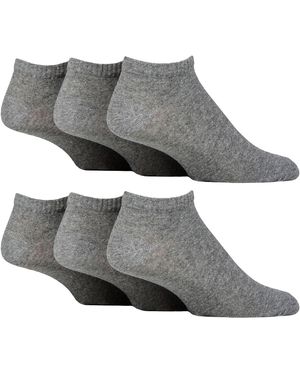 SOCKSHOP TORE 6 Pack Plain Sports Trainer Socks - Grey
