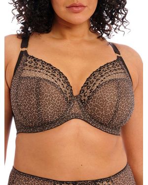 Elomi Matilda Plunge Side Support Bra - Brown