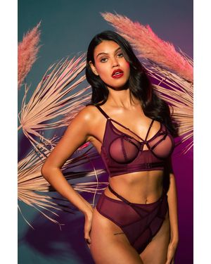 Playful Promises Eddie Crossover High Waist Brief - Multicolour