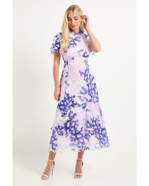 Wallis Petite Floral Burn Out Ruffle Midi Dress - Pink