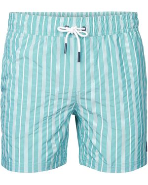 Petrol Industries Gestreepte Zwembroek Reefway - Blauw