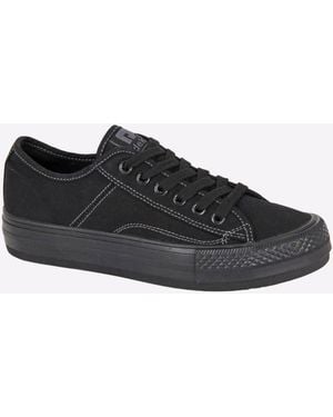 Dek Racer Canvas Shoes - Black