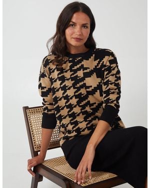 Blue Vanilla Alexa - Brown