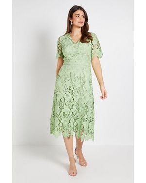 Wallis Lace Waist Detail Midi Dress - Green