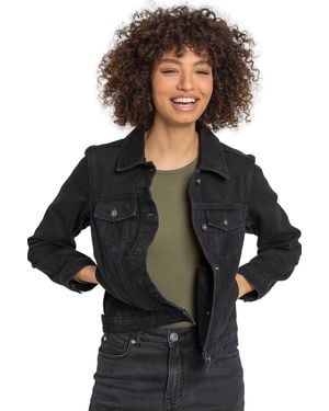Roman Classic Cotton Denim Jacket - Black