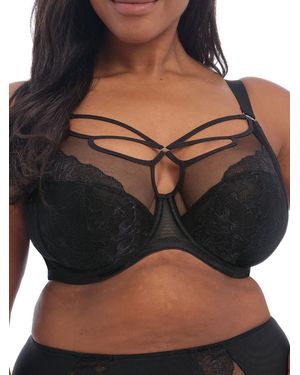 Elomi Brianna Plunge Bra - Black