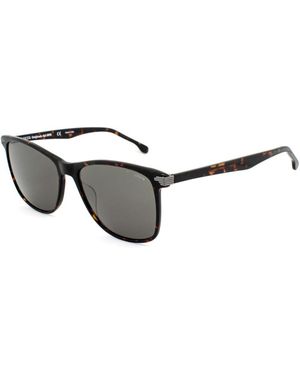 Lozza Bicolour Acetate Sunglasses - Black