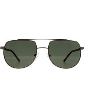 Calvin Klein Aviator Matte Light Ck20301S Metal - Green