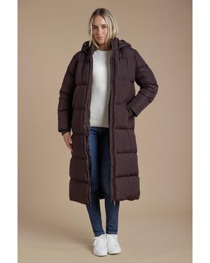 French Connection Longline Quilted Puffer Jacket With Hood - Brown