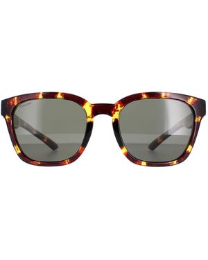 Smith Square Tortoise Polarized Founder Slim - Brown