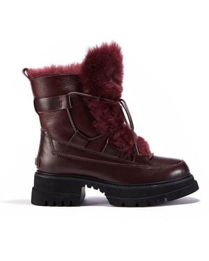 Australia Luxe Westward Windsor Boot - Purple