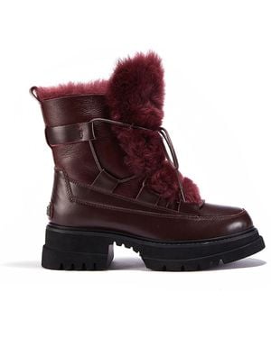 Australia Luxe Westward Windsor Boot - Purple