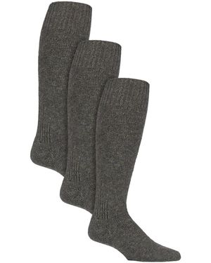 Country Pursuit 3 Pack Fisherman Socks - Grey