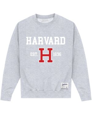 Park Fields Harvard University Est 1636 Heather Sweatshirt Cotton - Grey