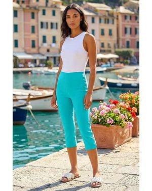Roman Gingham Elastic Waist Stretch Cropped Trouser - Blue