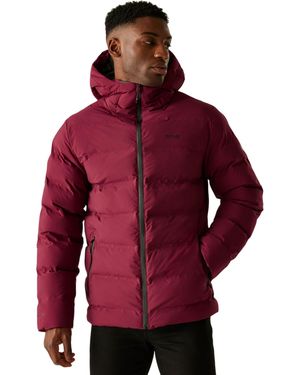 Regatta Altoro Thermal Waterproof Jacket (Dark) - Red