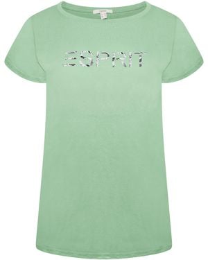 Esprit Ladies T-Shirt Cotton - Green