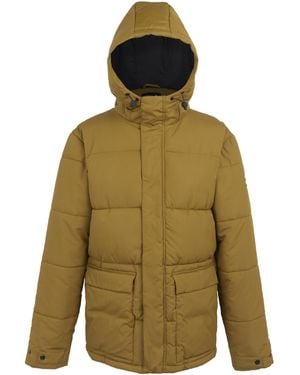 Regatta Falkner Padded Jacket (Umber) - Green