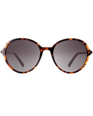 INVU Rond Demi Tortoise Goud Grijs Gepolariseerd B2135 - Bruin