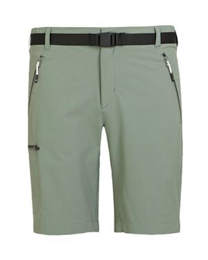 Regatta Xert Iii Stretch Shorts (Agave) - Green