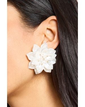 Boohoo Statement Floral Pearl Beaded Earrings - Black