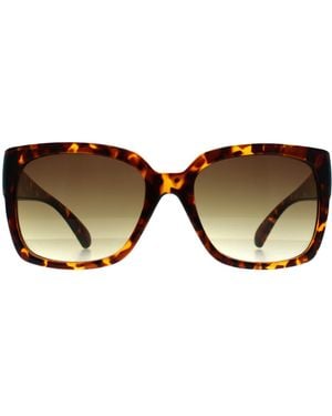 Calvin Klein Square Shiny Havana Gradient Ck22549S - Brown