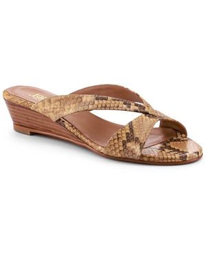 Jones Bootmaker Klevina2 Mules - Brown