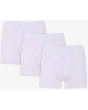 Penti Cotton Jersey Boxer Briefs, 3-Pack - White