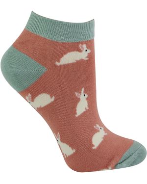 Miss Sparrow Ladies Bamboo Trainer Socks - Pink