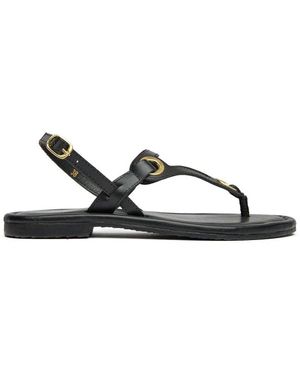 Sole Lou Sandals - Brown
