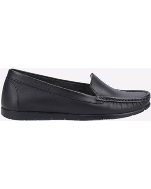 Fleet Foster Tiggy - Black