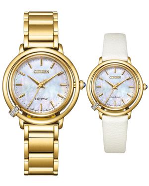 Citizen Watch Em1092-64D Stainless Steel (Archived) - Metallic