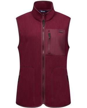 Regatta Ladies Frankie Microfleece Body Warmer (Fig) - Purple