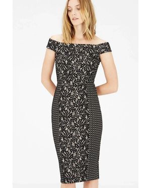 Warehouse Bardot Lace Pencil Dress - Black