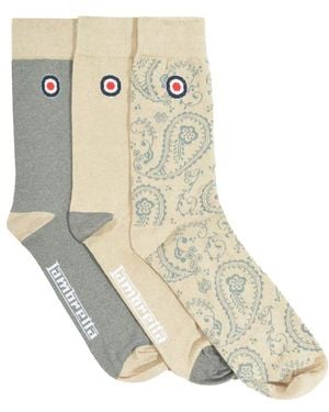 Lambretta Paisley Socks (Pack Of 3) (Iron/Stone) - Metallic