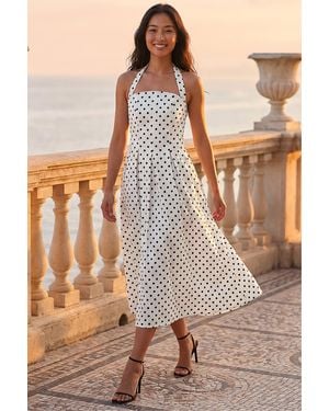 Roman Petite Polka Dot Stretch Midi Dress - Brown