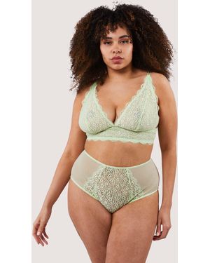 Deja Day Laura High Waisted Brief - Green
