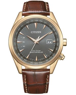 Citizen Watch Cb0273-11H Leather (Archived) - Metallic