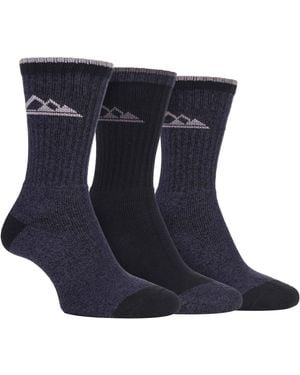 Storm Bloc 3 Pairs Ladies Lightweight Breathable Hiking Socks With Arch Support - Blue