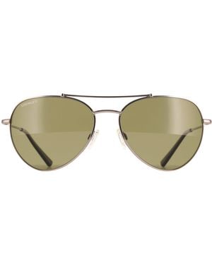 Serengeti Aviator Shiny Gunmetal Mineral Polarized 555Nm Pete - Brown